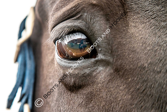 Day 2. Royal Windsor Horse Show. Windsor. Berkshire. UK.  10/05/2018. ~ MANDATORY Credit Elli Birch/Sportinpictures - NO UNAUTHORISED USE - 07837 394578