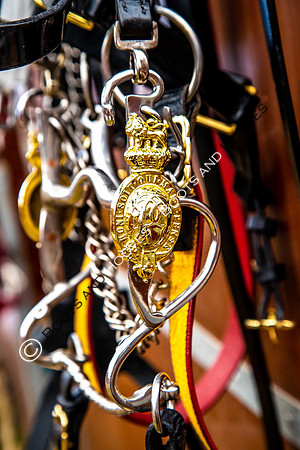 Day 2. Royal Windsor Horse Show. Windsor. Berkshire. UK.  10/05/2018. ~ MANDATORY Credit Elli Birch/Sportinpictures - NO UNAUTHORISED USE - 07837 394578