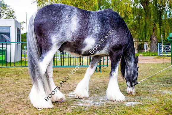 Day 2. Royal Windsor Horse Show. Windsor. Berkshire. UK.  10/05/2018. ~ MANDATORY Credit Elli Birch/Sportinpictures - NO UNAUTHORISED USE - 07837 394578