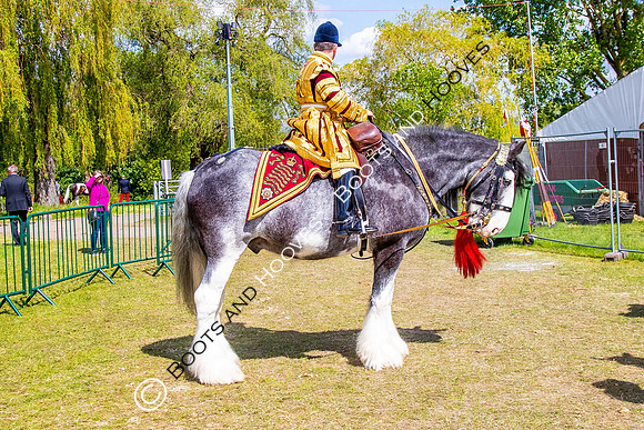 Day 2. Royal Windsor Horse Show. Windsor. Berkshire. UK.  10/05/2018. ~ MANDATORY Credit Elli Birch/Sportinpictures - NO UNAUTHORISED USE - 07837 394578