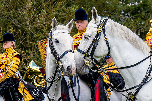 Day 2. Royal Windsor Horse Show. Windsor. Berkshire. UK.  10/05/2018. ~ MANDATORY Credit Elli Birch/Sportinpictures - NO UNAUTHORISED USE - 07837 394578