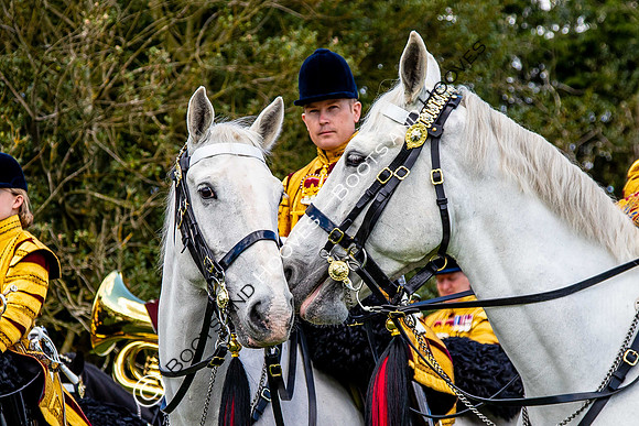 Day 2. Royal Windsor Horse Show. Windsor. Berkshire. UK.  10/05/2018. ~ MANDATORY Credit Elli Birch/Sportinpictures - NO UNAUTHORISED USE - 07837 394578