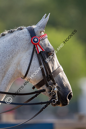 The Prenetics Royal International Horse Show