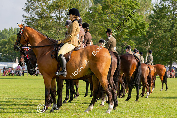 The Prenetics Royal International Horse Show