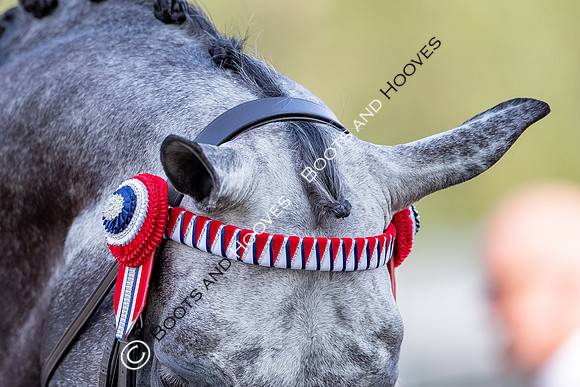 The Prenetics Royal International Horse Show