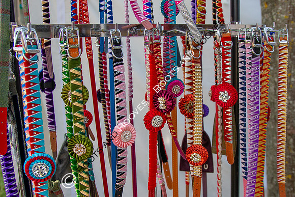 The Prenetics Royal International Horse Show