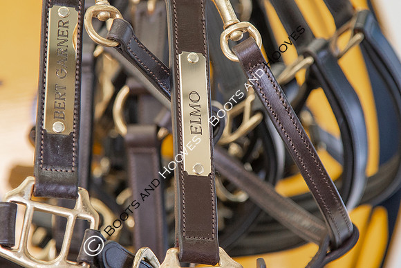 The Prenetics Royal International Horse Show