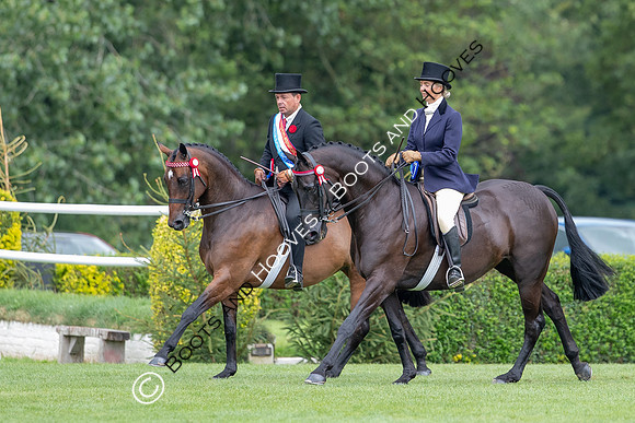 The Prenetics Royal International Horse Show