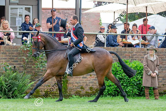 The Prenetics Royal International Horse Show