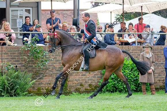 The Prenetics Royal International Horse Show