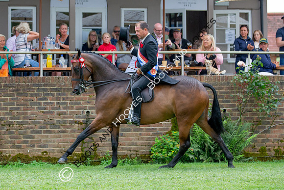 The Prenetics Royal International Horse Show
