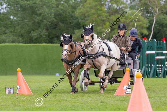 The Prenetics Royal International Horse Show