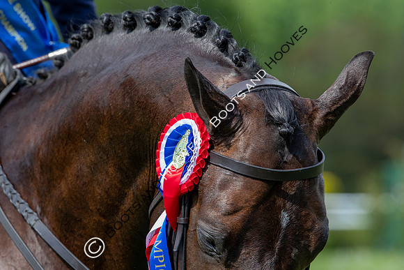 The Prenetics Royal International Horse Show