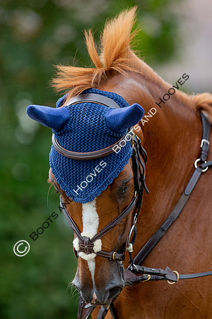 Science Supplements All England Jumping Championships