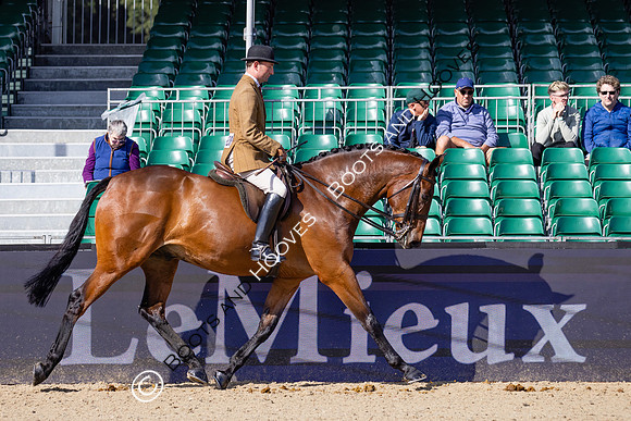 Royal Windsor Horse Show