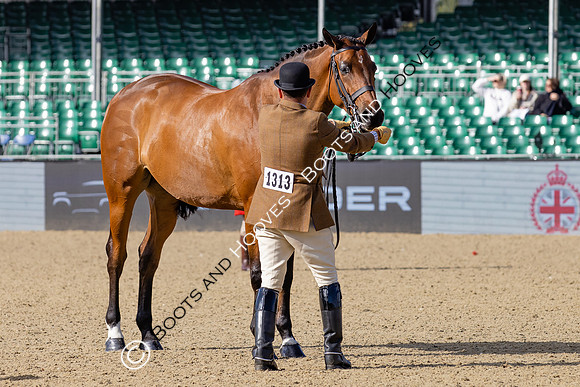 Royal Windsor Horse Show