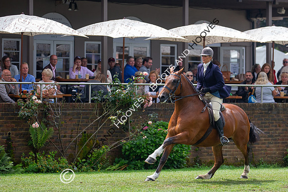 The Prenetics Royal International Horse Show