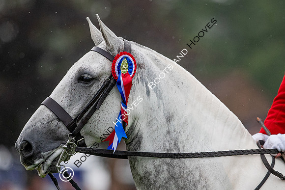 The Prenetics Royal International Horse Show
