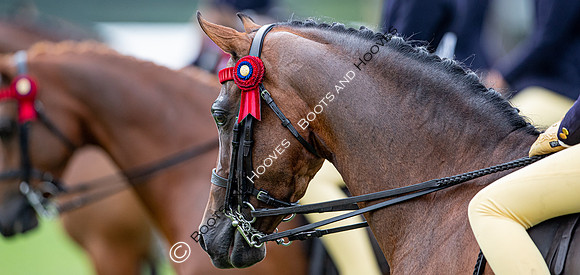 The Prenetics Royal International Horse Show