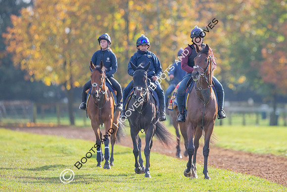 Newmarket