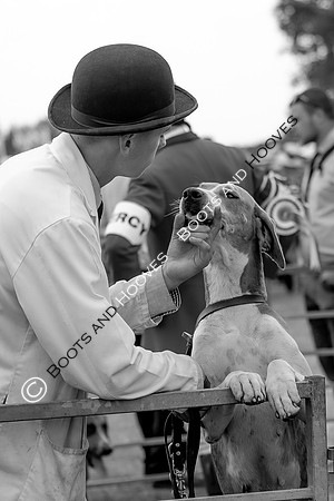 Festival of Hunting