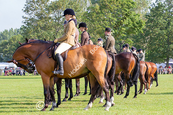 The Prenetics Royal International Horse Show