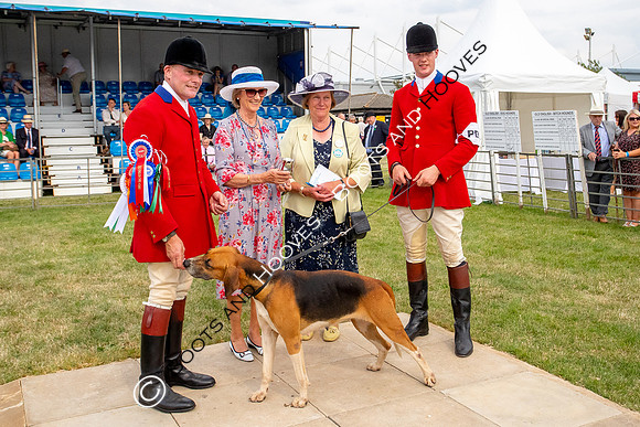 Festival of Hunting