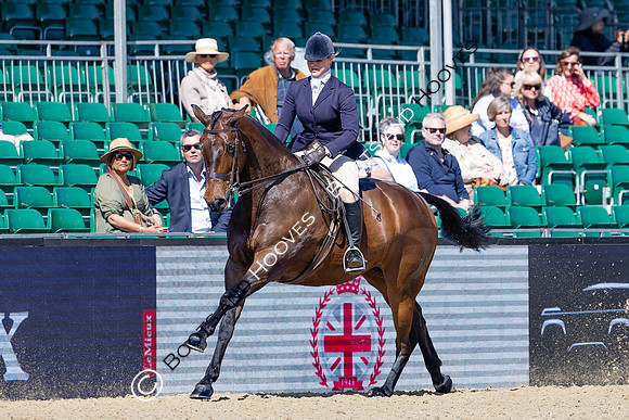 Royal Windsor Horse Show