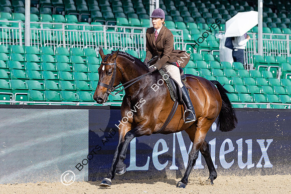 Royal Windsor Horse Show