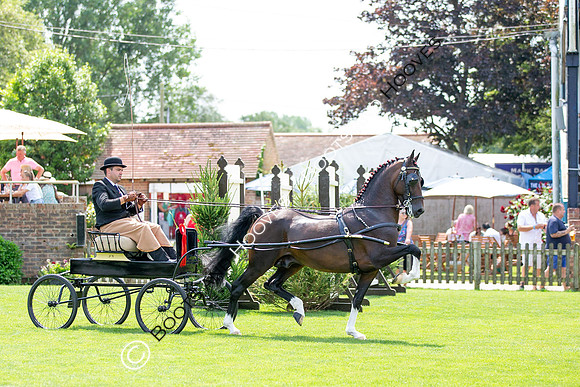 The Prenetics Royal International Horse Show
