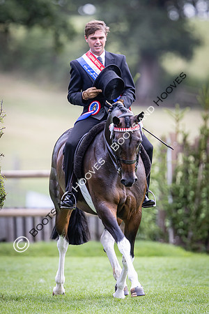 The Royal International Horse Show