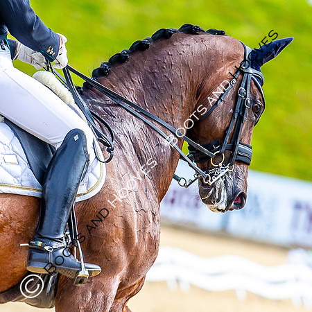 dressage. Bolesworth International Horse Show. (13/06/2018}. ~ MANDATORY Credit Elli Birch/Bootsandhooves - NO UNAUTHORISED USE - 077745909676