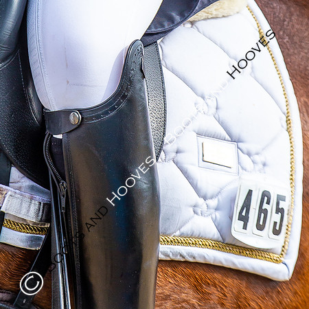dressage. Bolesworth International Horse Show. (13/06/2018}. ~ MANDATORY Credit Elli Birch/Bootsandhooves - NO UNAUTHORISED USE - 077745909676