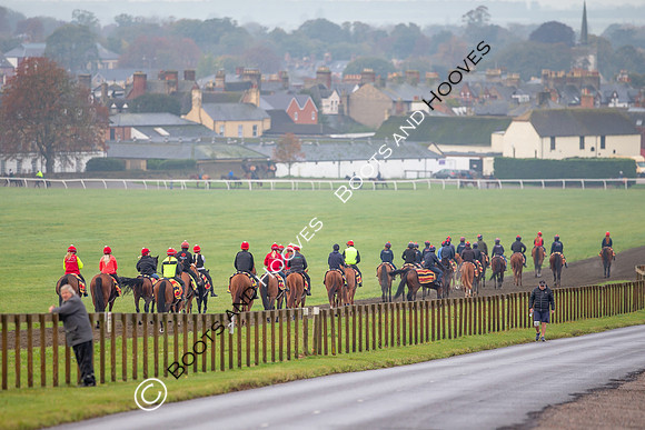 Newmarket