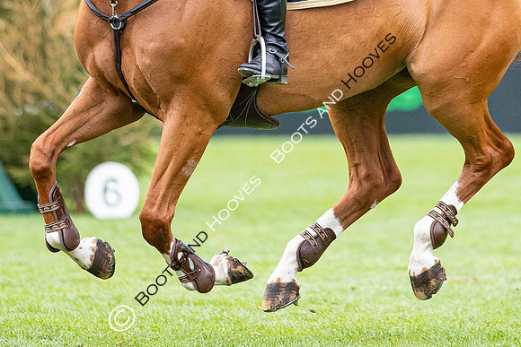 The Prenetics Royal International Horse Show
