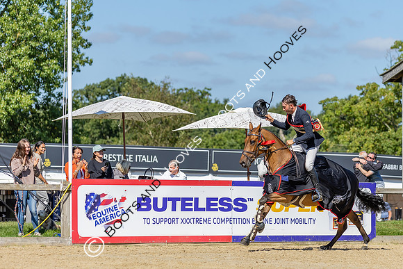 The Al Shira'aa British Young Horse Championships