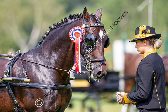 The Prenetics Royal International Horse Show