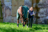 Badminton Horse Trials