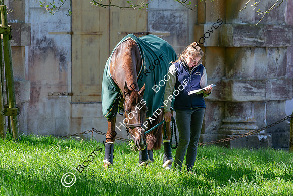 Badminton Horse Trials