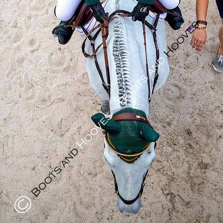 Showjumping. Young Riders. Le Grand Parquet. Fontainebleu. France. 12/07/2018. ~ MANDATORY Credit Elli Birch/Sportinpictures - NO UNAUTHORISED USE - 07837 394578