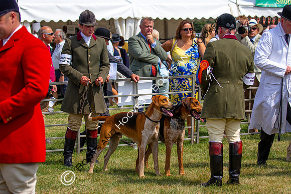 Festival of Hunting
