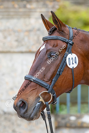 Badminton Horse Trials