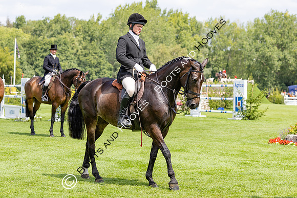 The Agria Royal International Horse Show