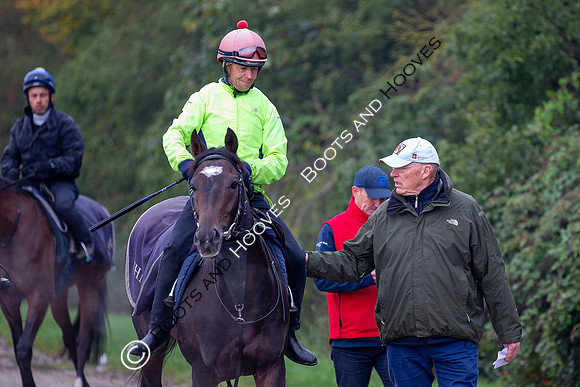 Newmarket