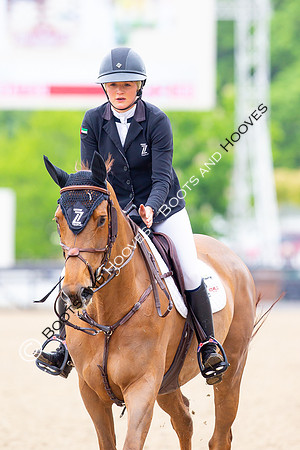 Royal Windsor Horse Show