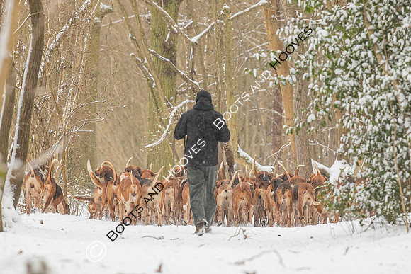 Hound Exercise