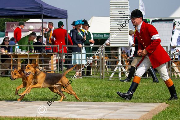Festival of Hunting