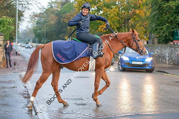 Newmarket