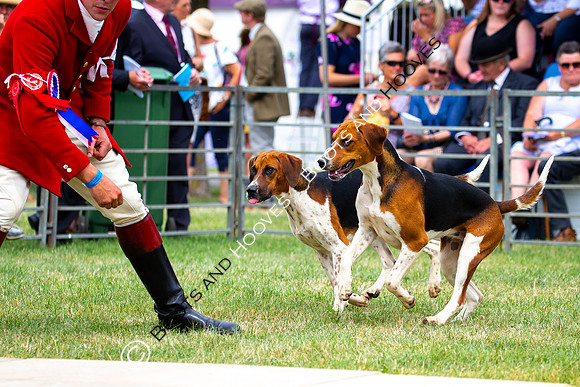 Festival of Hunting