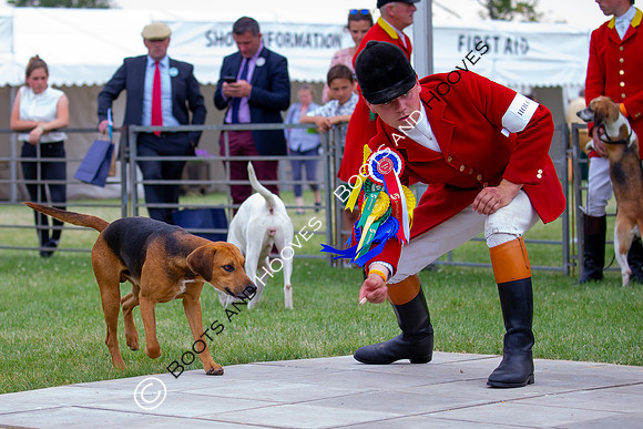 Festival of Hunting